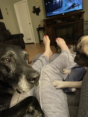 IMG_8987.jpeg