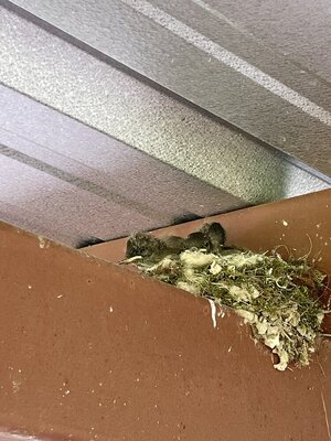 IMG_9015.jpeg