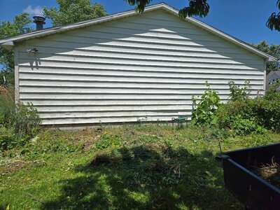 South garage bed, 06-20-25, #1.jpg