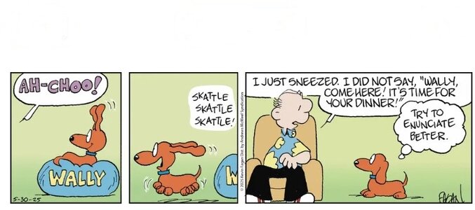 zsneeze.jpg