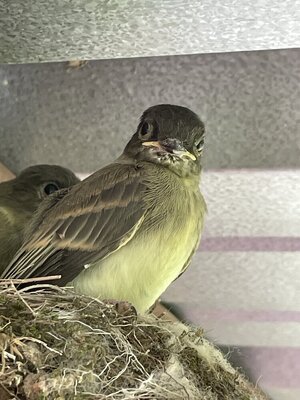 IMG_9045.jpeg