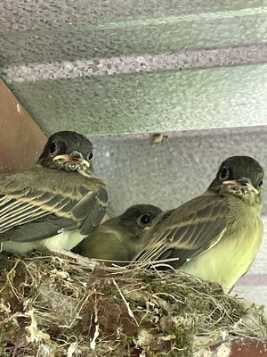 IMG_9046.jpeg