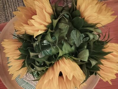 sunflowers_800x602.jpg