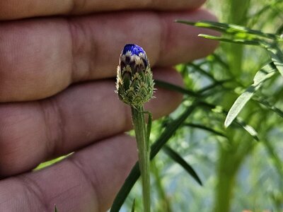 20250630_110119.jpg