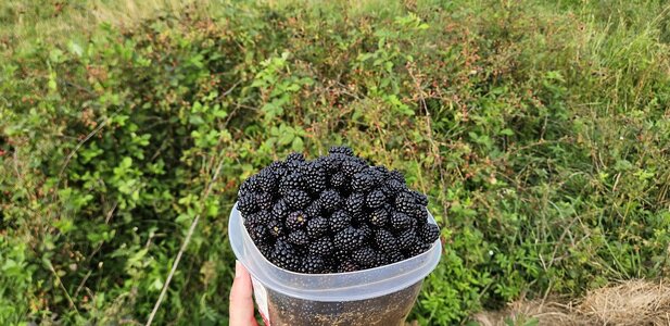 20250630_185235.jpg
