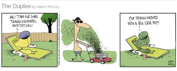zlawn.jpg