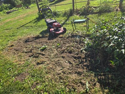 Gravesite cleared 07-01-25.jpg