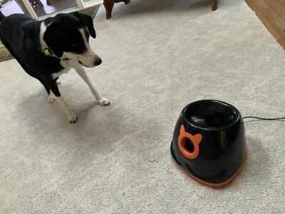 IMG_0445.jpeg