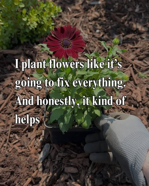 1751649138108.png