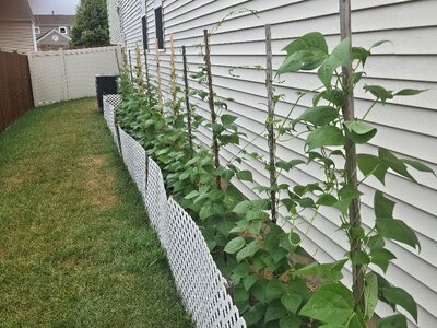 South Flower Bed 7-11-25.jpg