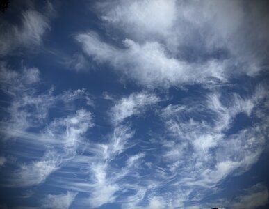 IMG_1315.jpeg