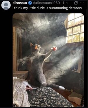 zdude.jpg