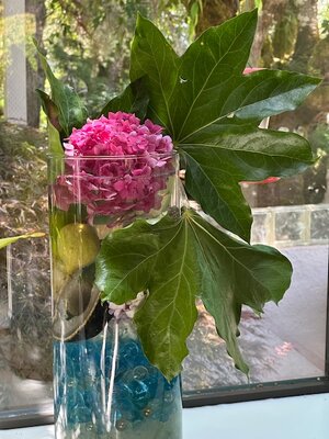 IMG_0717.jpeg