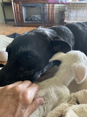 IMG_9404.jpeg