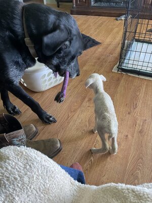 IMG_9406.jpeg