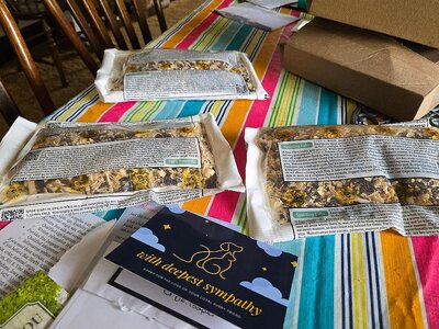 Fly predators 3 pack, July, 2025, #2, with Eva condolence cards, etc.jpg