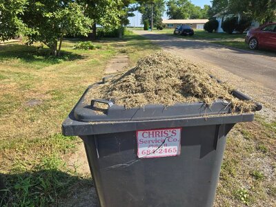 Grass on trash can, 08-04-25.jpg