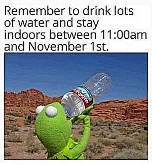 zindoors.jpg