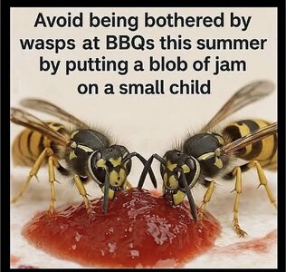 IMG_9496.jpeg