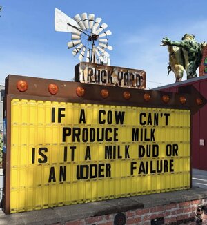 IMG_9489.jpeg