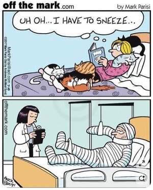 zsneeze.jpg