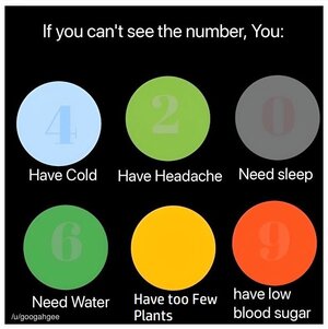 znumber.jpg