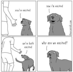 zexcited.jpg