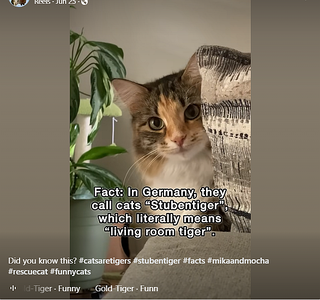 1755372908613.png