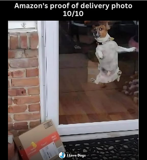 1755373132445.png