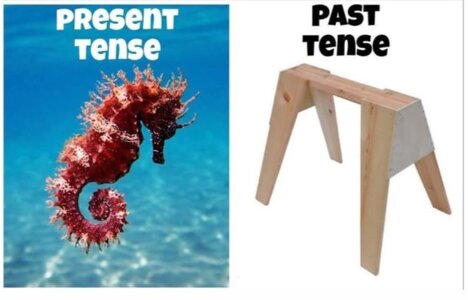 ztense.jpg