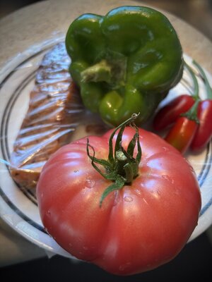 IMG_1366.jpeg
