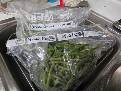Farm Stand green beans, 08-21-25, #2.jpg