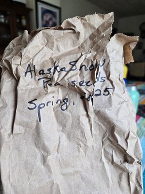 Alaska Snow Peas pod storage bag, 08-24-25.jpg
