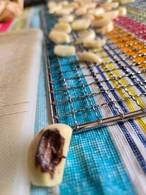 Great Lakes Porcelain Garlic spoiled, 08-24-25.jpg