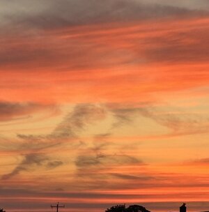IMG_1378.jpeg