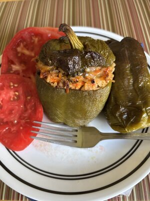 IMG_1385.jpeg