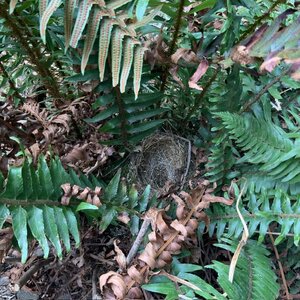 IMG_1456.jpeg