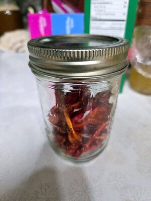 Giant Jalepano, dried, 08-31-25.jpg