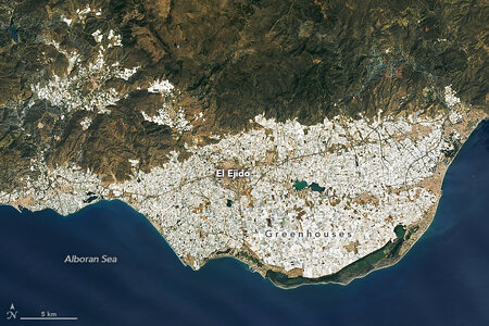almeria_oli2_2022144.jpg