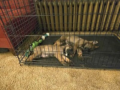 Sasha & Tegan, all wiped out, 09-01-25.jpg