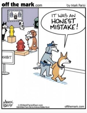 Screenshot_20250906_083008_Chrome.jpg Screenshot_20250906_083008_Chrome.jpg