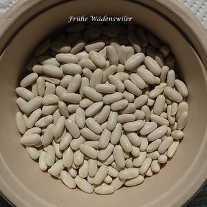Fruehe_Waedenswiler_2025_b_DSC_8201~2.jpg