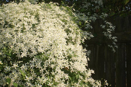 DSC02597.JPG