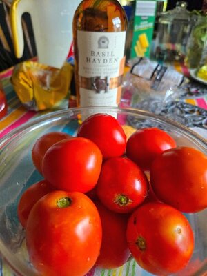 Tomato Harvest, 09-13-25.jpg