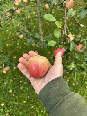 IMG_4808.jpeg