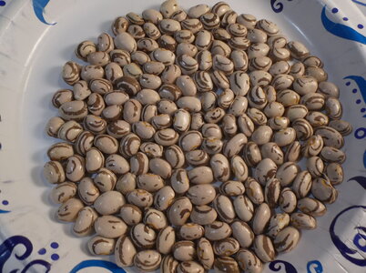 DSCF5695.JPG