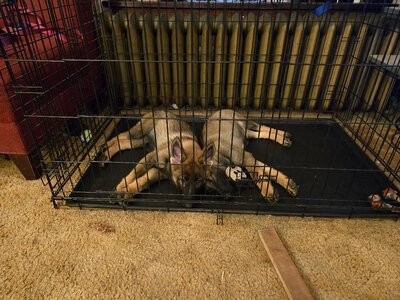 Sasha & Tegan Cuddle Puddle, 09-26-25.jpg