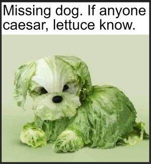 zmissing.jpg
