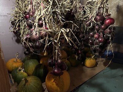 IMG_4881.jpeg