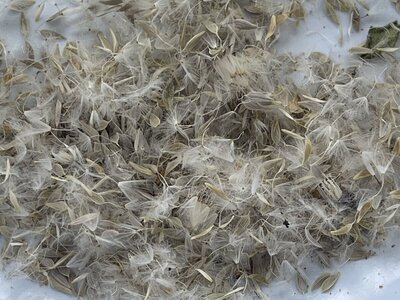 IMG_8163.jpeg IMG_8163.jpeg